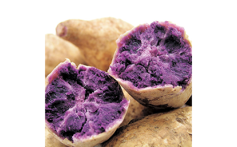 ヘリオス酒造【沖縄初、日本最南端の本格いも焼酎】「紅一粋－べにいっすい－」25度　ギフトセット【720ml×2本】