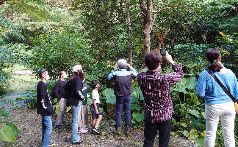 国産（沖縄）【中山コーヒー園】収穫焙煎ツアー3時間（１名様）