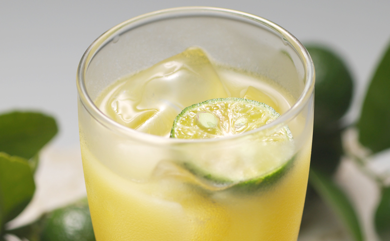 シークヮーサー原液1ケース/12本入