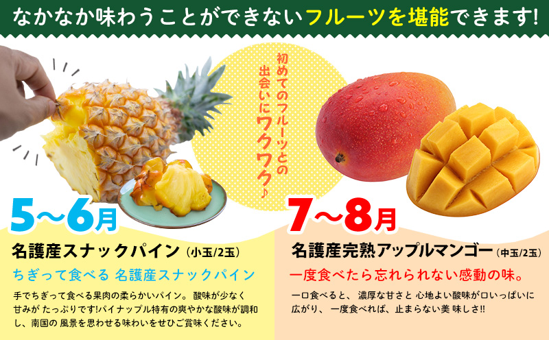【名護パイン園】旬の南国フルーツ定期便（6回コース） 沖縄 産地直送 期間限定 南国フルーツ 果物 パッションフルーツ スナックパイン アップルマンゴー マンゴー バナナ 毎月お届け お取り寄せ 旬のフルーツ 人気 おすすめ 贈答品 プレゼント 贈り物 ギフト セット