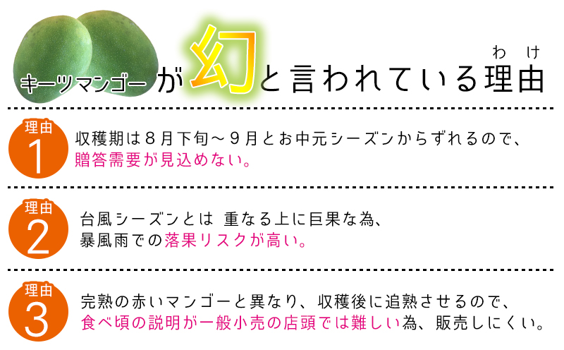 【2026年発送先行予約】キーツマンゴー秀品2kg以上 沖縄 おきなわ まんごー 秀品 贈答用 先行予約 ふるさと納税 送料無料 甘味 糖度 おいしい お土産 キーツ 果物 くだもの 果実 2キロ 箱入り 食べ物 フルーツ