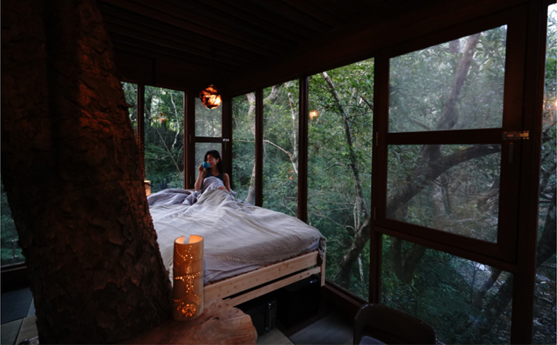 ツリーフルツリーハウス　1泊2日　ペア宿泊券（朝食と焚き火ディナー付き） ５つ星 ホテル 宿泊 沖縄 森林浴 バカンス リゾート 体験 森 自然 やんばる 旅行 宿 特別 カップル 新婚 ペア 朝食付き ディナー おすすめ