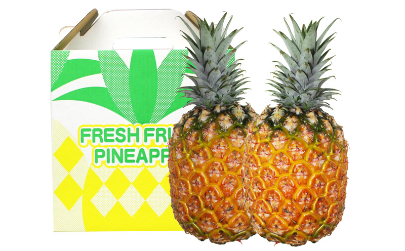 2026年発送【名護パイン園】　ゴールドバレル（大玉2玉） 先行予約　 パインアップル パイナップル 期間限定 数量限定 フルーツ くだもの 果物 贈答 贈り物 プレゼント 人気 おすすめ 南国 お土産 ギフト デザート 青果 沖縄 おきなわ 年末