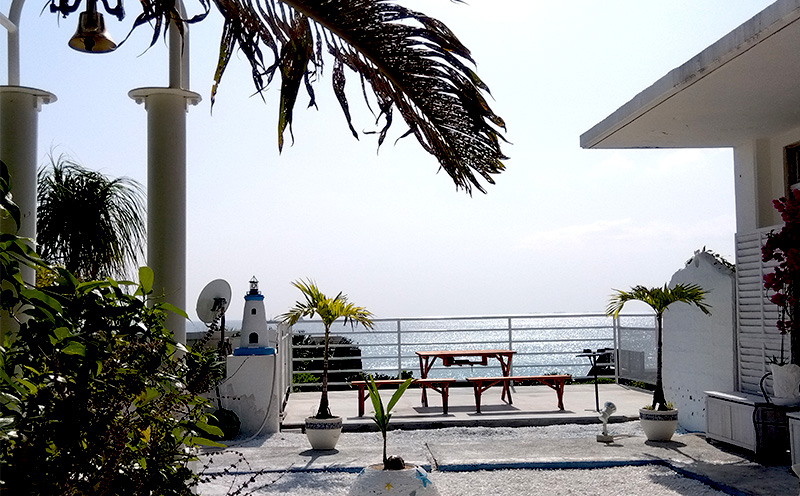 イルカの町のクラフトビール　ドルフィン・ビアー 【330ml×3本】 ギフト 贈り物 プレゼント イルカ おきなわ 沖縄 沖縄県 瓶 びん ブルワリー IPA アロマホップ お酒 アルコール 洋酒 セット フレーバー 香り ホップ 小麦