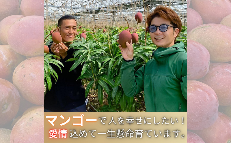【2025年 先行予約】とろける完熟マンゴー 秀品 1kg以上 秀品 先行予約 沖縄 甘味 糖度 濃厚 おいしい お土産 まんごー アーウィン ギフト プレゼント 果実 くだもの 果物 ふるさと納税 送料無料 ふるさと納税 名護市 フルーツ