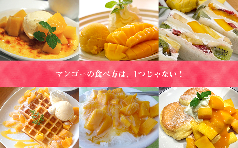 2026年発送　道の駅許田の秀品アップルマンゴー　約1kg 完熟 マンゴー アップル 南国 沖縄 フルーツ くだもの 果物 果実 先行予約 産地直送 贅沢 濃厚 スイーツ デザート 旬の果物 贈り物 ギフト プレゼント 贈答用