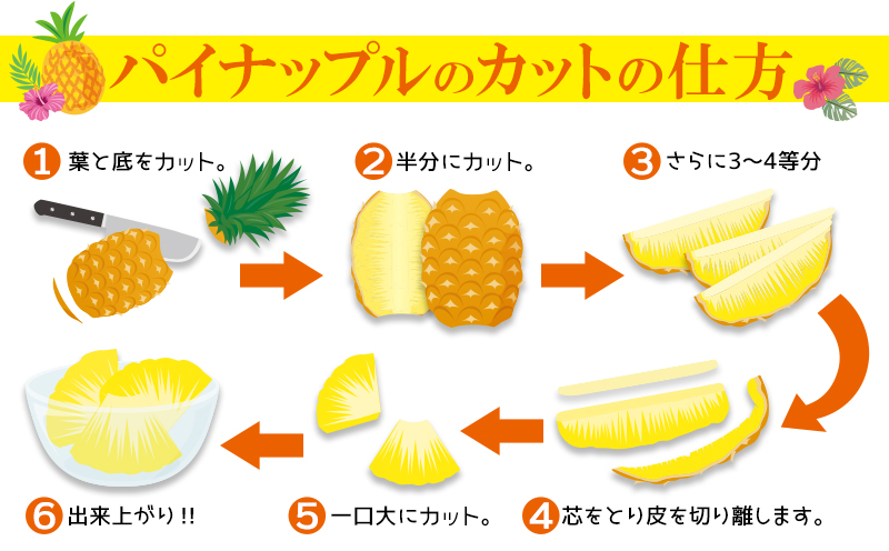 2026年発送【羽地の駅】Nパイン(N67-10)2～3玉（Mサイズ）2.5kg以上 沖縄 おきなわ 国産 県産 フルーツ 厳選 こだわり とろける くだもの あまい 魅力 お土産 N67-10 果物 取り寄せ ご当地 やんばる 南国 トロピカル 夏