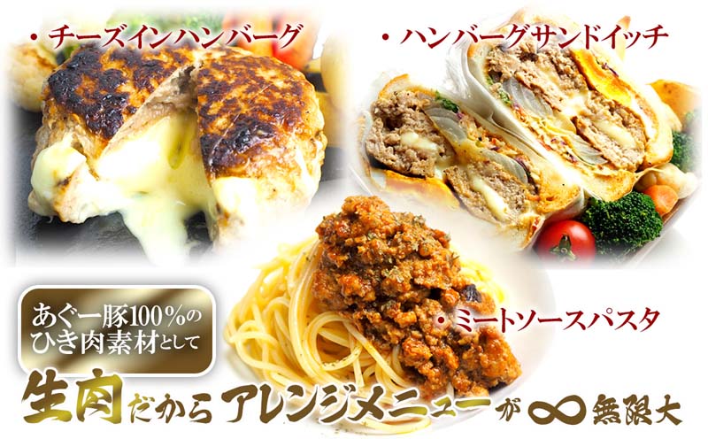【3ヵ月定期便】【訳あり】あぐー豚肉ハンバーグ　750g（150g×5個） 簡易包装シリーズ【黒豚あぐー】 訳アリ 豚 簡易包装 SDGS ハンバーグ あぐー 名護市 銘柄豚肉 簡単調理 簡単料理 おかず 食品 国産 県産 真空パック 沖縄 おきなわ 送料無料 やんばる 人気