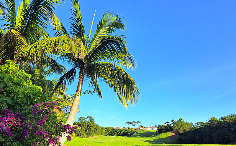 【喜瀬カントリークラブ】30万円分利用券 ゴルフ プレー券 利用券 施設利用 チケット 30万円分 スポーツ ラウンド コース アウトドア スポーツ 趣味 休暇 体験 ゴルフ場 レストラン 食事 バーベキュー 地元 沖縄