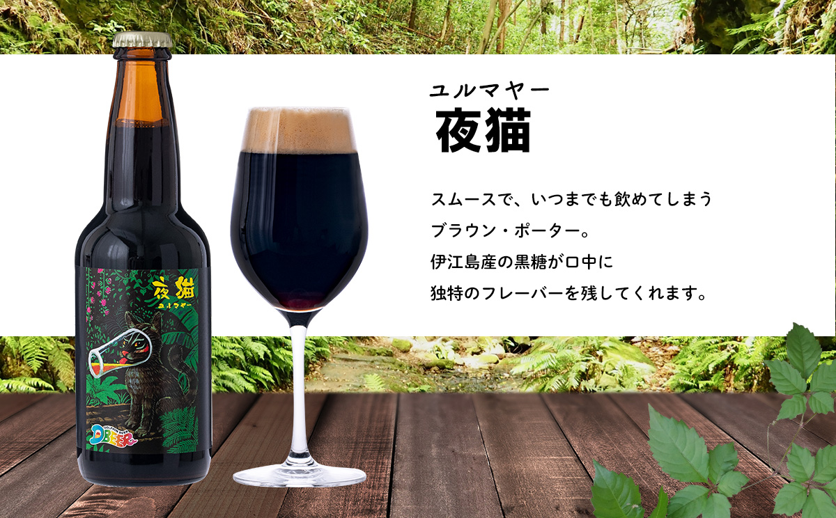 イルカの町のクラフトビール　6本セット クラフト クラフトビール ビール お酒 アルコール 瓶ビール オリジナル 人気 おすすめ オススメ 贈答 ギフト 贈り物 父の日 敬老の日 プレゼント 沖縄 乾杯 お祝い ランキング