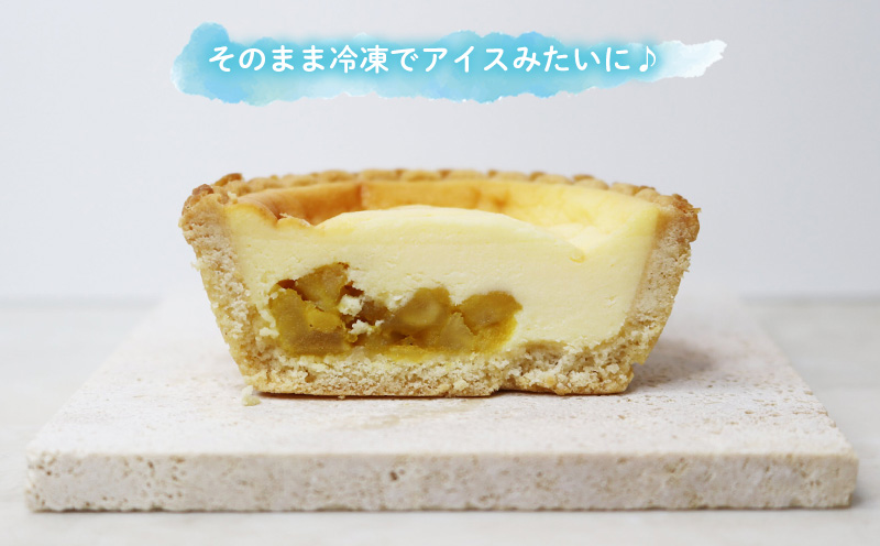 マンゴーチーズタルト　1箱(5個セット) おきぽた チーズタルト マンゴー スイーツ 専門店 OKIPOTA 洋菓子 焼き菓子 タルト生地 果肉 贅沢 高級 人気 おすすめ お土産 ギフト プレゼント 贈り物 沖縄 お取り寄せ