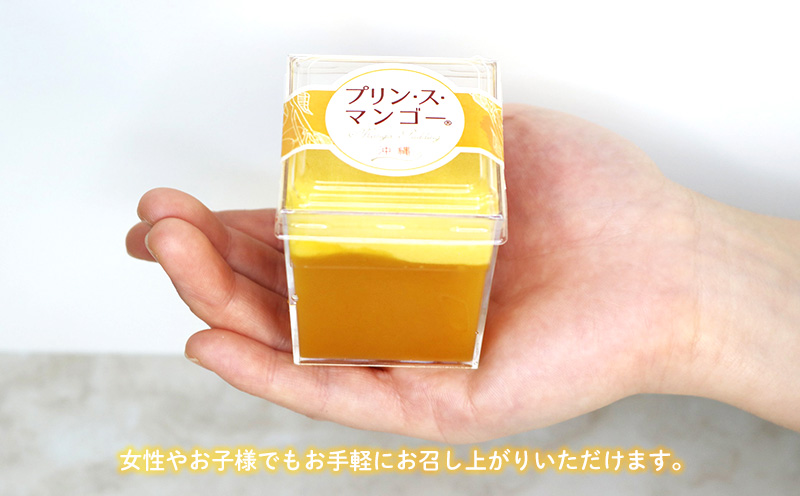 プリン・ス・マンゴー　1箱(9個セット) おきぽた プリン マンゴー スイーツ 専門店 贅沢プリン トロピカルプリン マンゴープリン 濃厚 新食感 絶品 ロングランセラー 人気 おすすめ 沖縄 お土産 プレゼント 贈り物 ギフト お取り寄せ