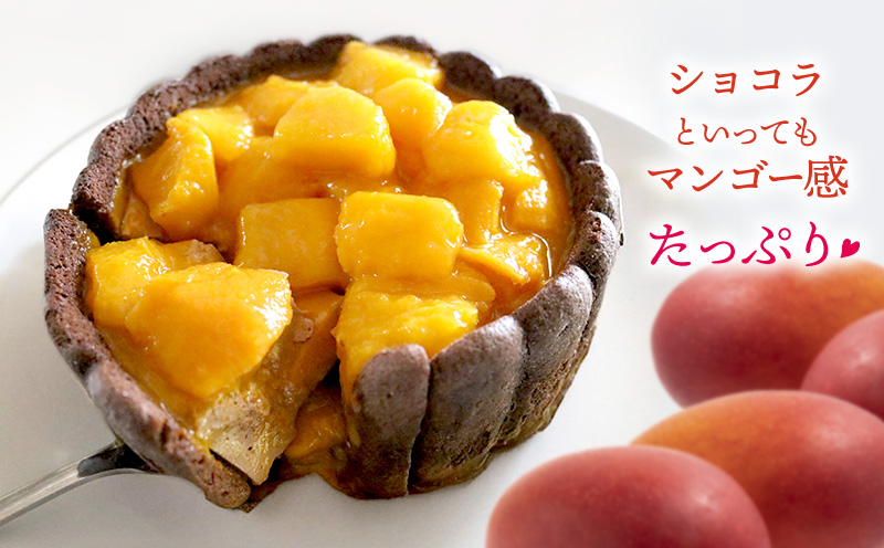 贅沢マンゴーショコラケーキ【4号サイズ】 おきぽた ケーキ マンゴー スイーツ 専門店 チョコ フルーツデザート トロピカルスイーツ 沖縄 お土産 人気 おすすめ パーティー バースデー Xmasケーキ 誕生日 プレゼント 贈り物 ギフト お取り寄せ