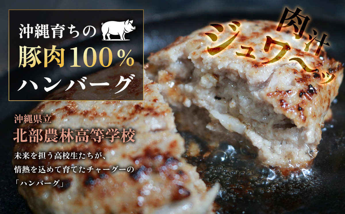 ブランド豚チャーグー100％「ハンバーグ」130g×10個 沖縄 ブランド豚 チャーグー 黒豚 アグー お肉 豚肉 希少 人気 惣菜 おかず 冷凍 応援 名護市 北部農林高校