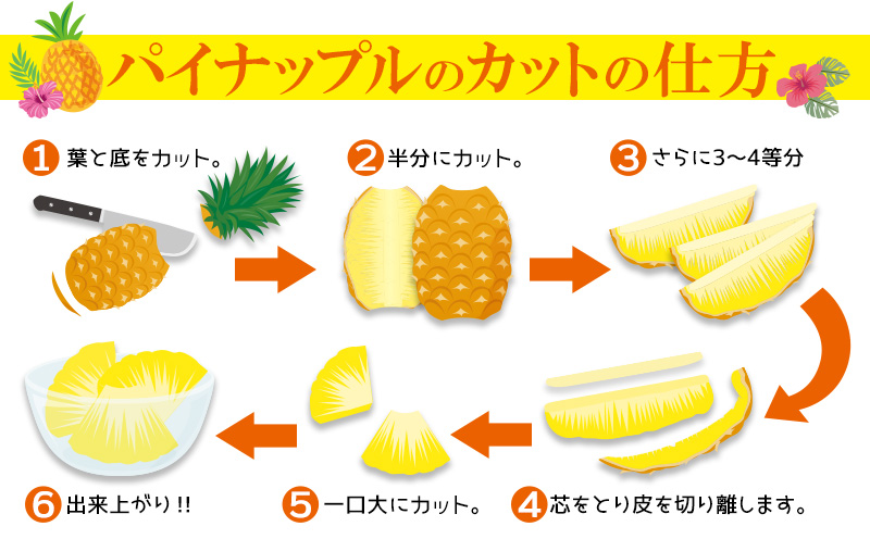 【2026年先行予約】【訳あり】７５パイン（ボゴール）4.5kg以上 パイン パイナップル パインアップル 沖縄県産パイン フルーツ 南国フルーツ トロピカルフルーツ 沖縄フルーツ 果物 くだもの 果実 デザート 甘い 人気 おすすめ プチギフト 産地直送 国産 沖縄 名護市