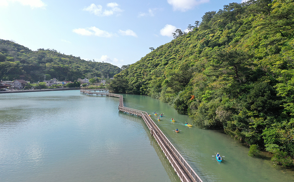 初心者大歓迎！マングローブ満喫のんびりカヤックツアー（ペアチケット） カヤック 初心者 大歓迎 マングローブ ペアチケット わんさか大浦パーク ツアー 大自然 2名 おすすめ オススメ 南国気分 沖縄県 名護市 満喫 のんびり 体験 ヤンバル やんばる