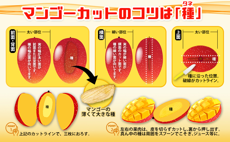 【2026年発送】　ご家庭で美味しく！アップルマンゴー約2kg【つは農園】 フルーツ 果物 期間限定 数量限定 先行予約 南国 プレゼント お土産 おみやげ ギフト くだもの 季節 おきなわ 青果 デザート おすすめ 人気 冷蔵 夏 スイーツ