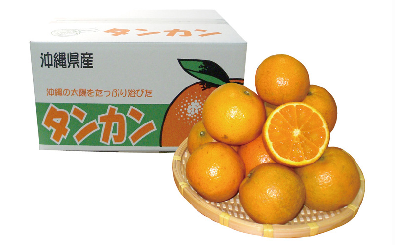 2026年発送【名護パイン園】　タンカン約5kg 先行予約 フルーツ 青果 期間限定 年末 数量限定 みかん 柑橘 沖縄 おきなわ 果実 ギフト 贈り物 子供 デザート 取り寄せ 旬 人気 おすすめ 贈答 プレゼント