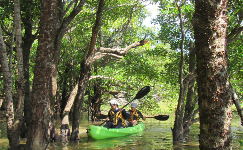 ゆったりと自然を満喫！屋我地島マングローブカヤック体験（大人2名様）