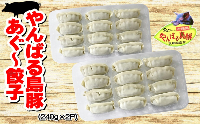 やんばるあぐー　餃子＆ハンバーグ（加工品セット）