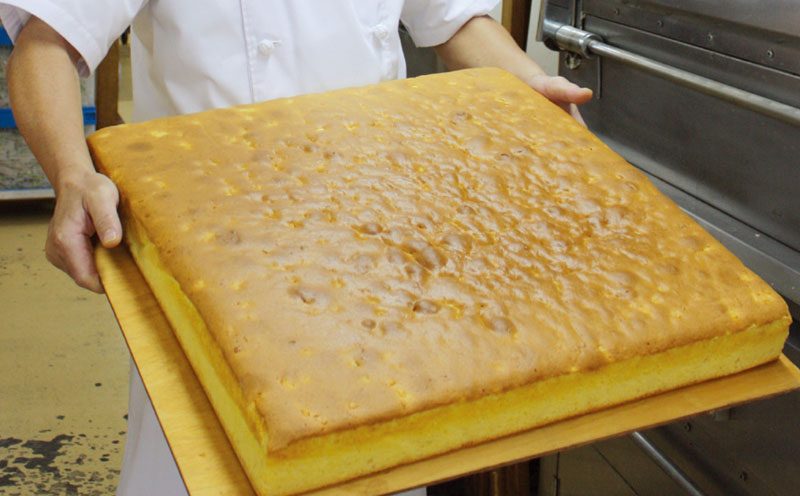 訳あり！果肉入りパイナップルケーキの切れはし（4パック/1.6kg以上）