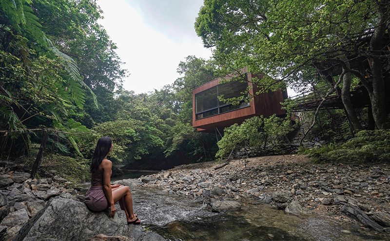 ツリーハウス　1泊2日　ペア宿泊＆絶景やんばるツアープラン（朝食と焚き火ディナー付き） ５つ星 ホテル 宿泊 沖縄 森林浴 ツアー リゾート 体験 冒険 自然 やんばる 思い出 リラックス 特別 空間 焚火 ペア 朝食付き ディナー おすすめ