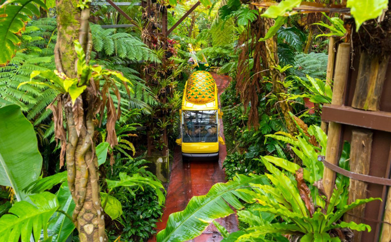 パイナップルワイン甘口＆辛口セット