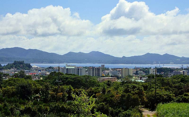 2026年発送【ファーム又吉】A級品アップルマンゴー　約1kg フルーツ 果物 期間限定 数量限定 先行予約 南国 プレゼント お土産 おみやげ ギフト くだもの 季節 おきなわ 青果 デザート おすすめ 人気 冷蔵 夏 スイーツ