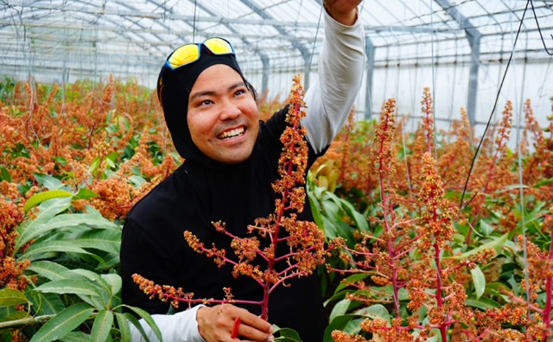 2025年発送【ニャンニャンフルーツパラダイス】名護市からお届けします！家庭用マンゴー　2kg以上 先行予約【数量限定】 完熟 マンゴー アップル 南国 沖縄 フルーツ くだもの 果物 果実 先行予約 産地直送 贅沢 濃厚 スイーツ デザート 旬の果物 ご家庭用 ご自宅用 国産 冷蔵