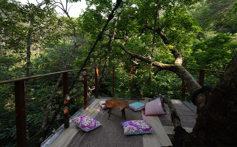 ツリーフルツリーハウス　1泊2日　ペア宿泊券（朝食と焚き火ディナー付き） ５つ星 ホテル 宿泊 沖縄 森林浴 バカンス リゾート 体験 森 自然 やんばる 旅行 宿 特別 カップル 新婚 ペア 朝食付き ディナー おすすめ