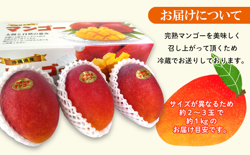 2025年発送【贈答用】極上やんばるマンゴー約1kg【秀品】 完熟 マンゴー 先行予約 冷蔵 大玉 家庭 贈答用 スイーツ スムージー プリン フルーツジュース 国産 フルーツ 果物 果実 南国 沖縄 ギフト 贈り物 プレゼント