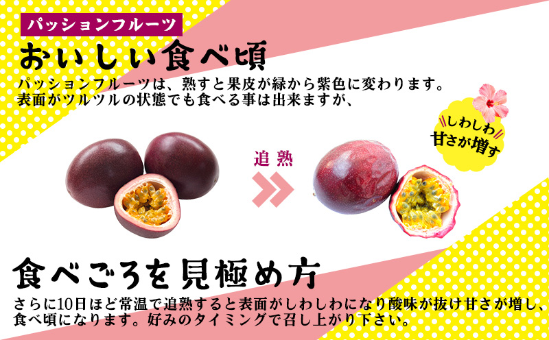 2026年発送【先行予約】家庭用パッションフルーツ 1kg以上【ウォーカー農園】 パッション フルーツ くだもの 果実 果物 国産 沖縄 名護 スイーツ デザート 産地直送 お取り寄せ 旬の果物 南国 贅沢 ご家庭用 ご自宅用 先行予約 お土産 おすすめ