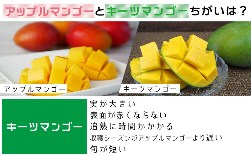 【2026年発送先行予約】キーツマンゴー優品1.5kg以上 沖縄 おきなわ まんごー 秀品 贈答用 先行予約 ふるさと納税 送料無料 甘味 糖度 おいしい お土産 キーツ 果物 くだもの 果実 1.5キロ 箱入り 食べ物 フルーツ