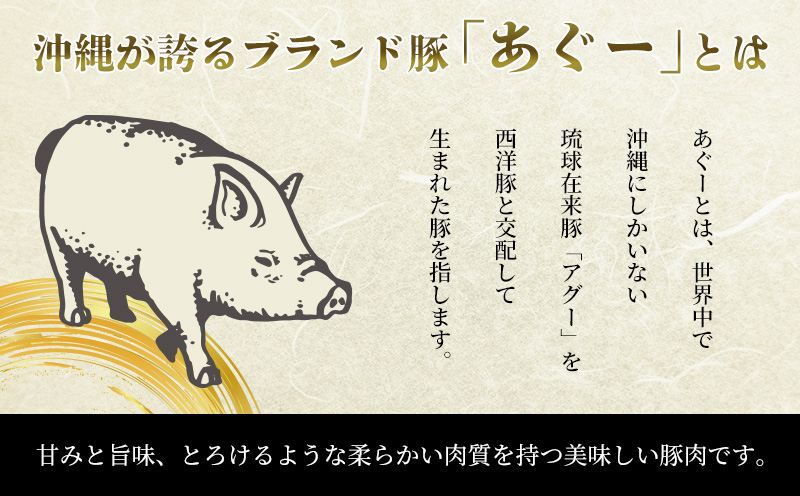 75BEER《ナゴビール》IPA＆あぐー豚ジャーキーセット オリオンビール クラフトビール プレミアム 人気 ビール お試し お酒 アルコール おすすめ 限定品 飲料 豚ジャーキー ポークジャーキー あぐー豚 銘柄豚 ブランド豚 ご褒美 特産品 おつまみ セット