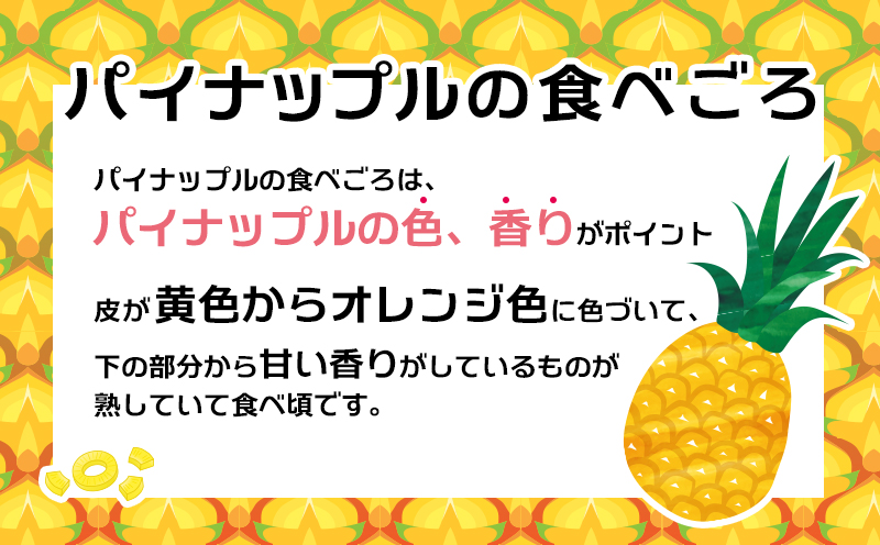 2026年「屋我地島のボゴールパイン」2kg以上【屋我地島　イリ玉城農園】 沖縄 屋我地島 ボゴール パイナップル ぱいん 県産 名護市 なご ２キロ 送料無料 ご当地 ふるさと納税 お取り寄せ 果物 くだもの 果実 青果物 デザート フルーツ おやつ
