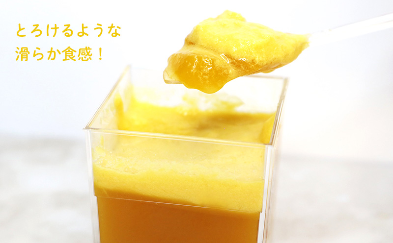 プリン・ス・マンゴー　1箱(9個セット) おきぽた プリン マンゴー スイーツ 専門店 贅沢プリン トロピカルプリン マンゴープリン 濃厚 新食感 絶品 ロングランセラー 人気 おすすめ 沖縄 お土産 プレゼント 贈り物 ギフト お取り寄せ