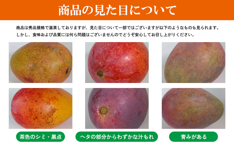 【2026年発送】マンゴー家庭用　約１kg 期間限定 数量限定 先行予約 フルーツ 果物 南国 プレゼント お土産 おみやげ ギフト スイーツ 贈答 冷蔵 人気 おすすめ デザート 青果 おきなわ 季節 くだもの