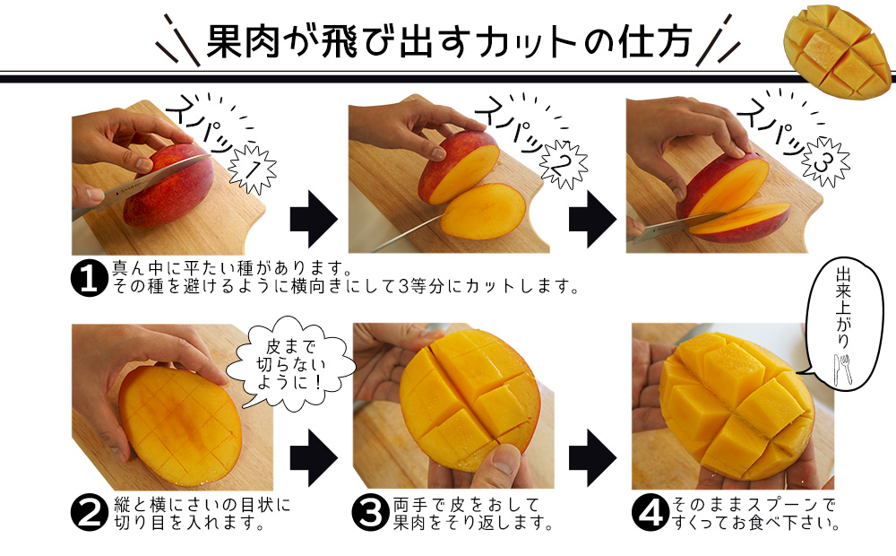 【2026年発送】40年続く老舗農園の沖縄県産マンゴー 約2kg 秀品【有機JAS】 2026年 沖縄 マンゴー 果物 フルーツ 数量限定 贈答品 先行予約 おすすめ 人気 期間限定 産地直送 2kg 4玉 5玉 希少 大玉 濃厚 完熟 とろける甘さ