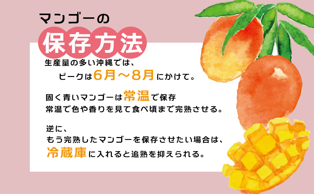 2026年発送　アップルマンゴー（家庭用）2kg以上【羽地の駅】 2026年 果物 沖縄 特産品 旬 マンゴー 家庭用 フルーツ 先行予約 夏 お取り寄せ 甘い おすすめ デザート おいしい 数量限定 期間限定 人気 令和8年 厳選