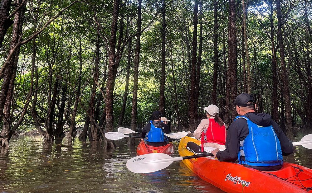 初心者大歓迎！マングローブ満喫のんびりカヤックツアー（ペアチケット） カヤック 初心者 大歓迎 マングローブ ペアチケット わんさか大浦パーク ツアー 大自然 2名 おすすめ オススメ 南国気分 沖縄県 名護市 満喫 のんびり 体験 ヤンバル やんばる