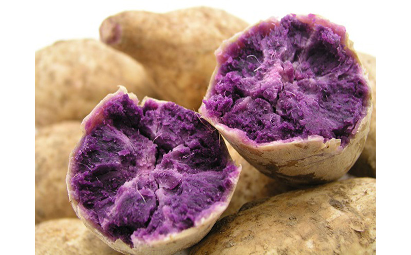 ヘリオス酒造【沖縄初、日本最南端の本格いも焼酎】『紅一粋－べにいっすい』25度　1800ml【兼用箱入り】