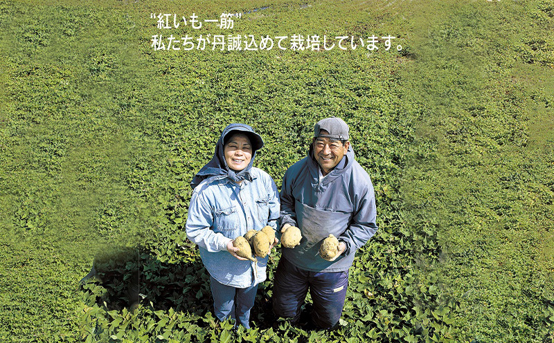 ヘリオス酒造【沖縄初、日本最南端の本格いも焼酎】「紅一粋－べにいっすい－」25度　ギフトセット【720ml×2本】