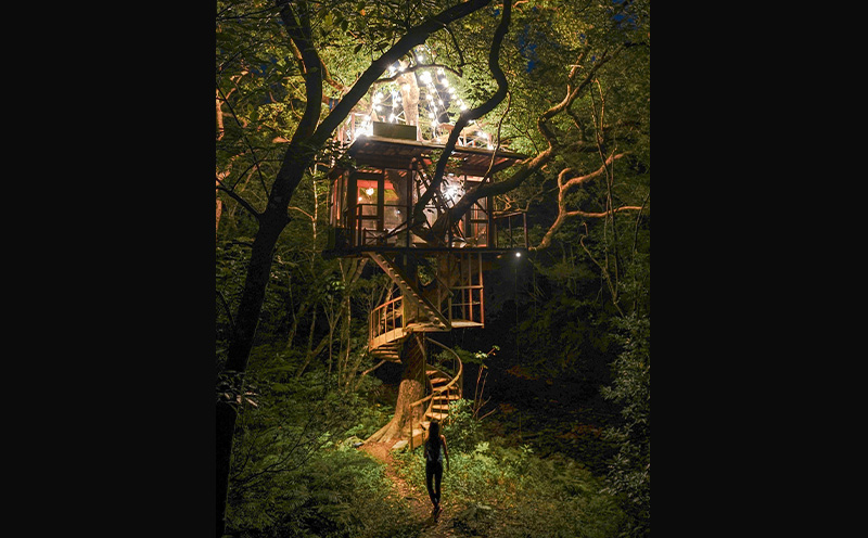 ツリーハウス　2泊3日　ペア宿泊＆絶景やんばるツアープラン（朝食と焚き火ディナー付き） ５つ星 ホテル 宿泊 沖縄 森林浴 ツアー リゾート 体験 冒険 自然 やんばる 思い出 リラックス 特別 空間 焚火 ペア 朝食付き ディナー おすすめ