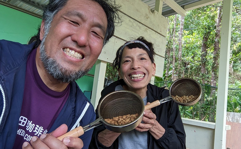 れもん ふるさと納税】やちむん植木鉢作り体験 ガジュマル付き【SDGs
