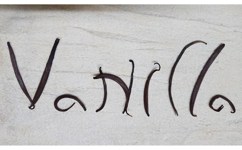 名護市で育てたバニラビーンズ（3本）【沖縄華如拉珈琲】