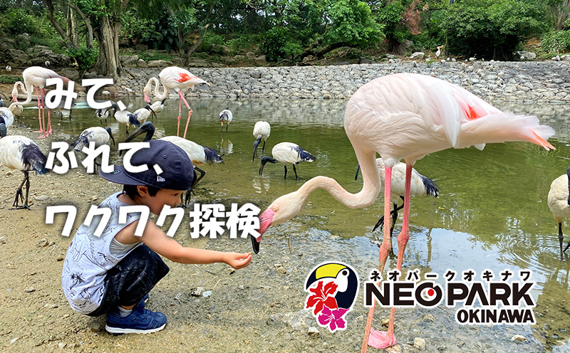 ネオパークオキナワ入場・園内利用券（5000円分） 沖縄 おきなわ 名護市 テーマパーク 沖縄本島 チケット 券 動植物 動物 植物 優待券 利用券 入場券 招待券 観光 送料無料 春休み 夏休み 旅行 家族旅行