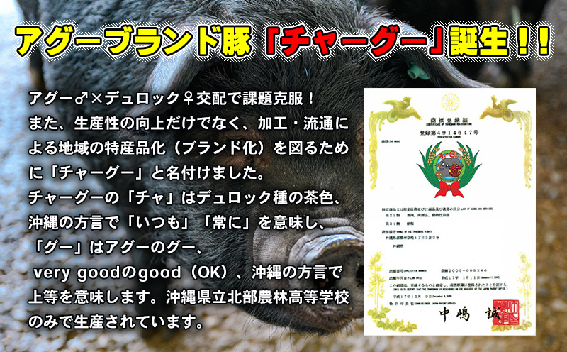 チャ―グー2種食べ比べ500g（250g×2P） 沖縄 チャーグー アグー ブランド豚 旨み ジューシー ヘルシー 沖縄料理 しゃぶしゃぶ ステーキ ロースカツ バラ モモ 豚肉 人気 高校生 小分け 豚しゃぶ スライス 生姜焼き