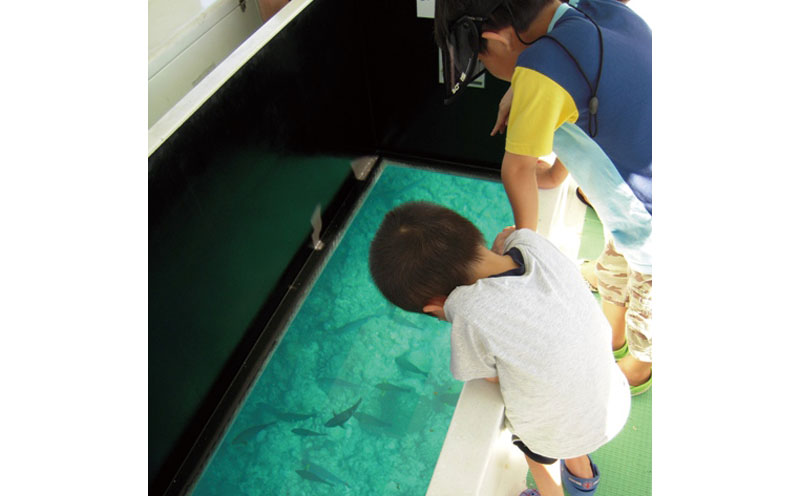 元気いっぱいのお魚を観察！グラス底ボート　大人2名様【ブセナ海中公園】