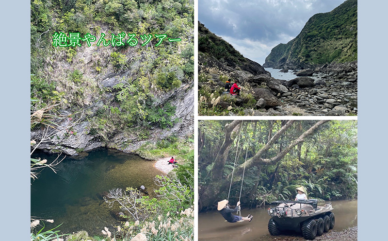 ツリーハウス　1泊2日　ペア宿泊＆絶景やんばるツアープラン（朝食と焚き火ディナー付き） ５つ星 ホテル 宿泊 沖縄 森林浴 ツアー リゾート 体験 冒険 自然 やんばる 思い出 リラックス 特別 空間 焚火 ペア 朝食付き ディナー おすすめ