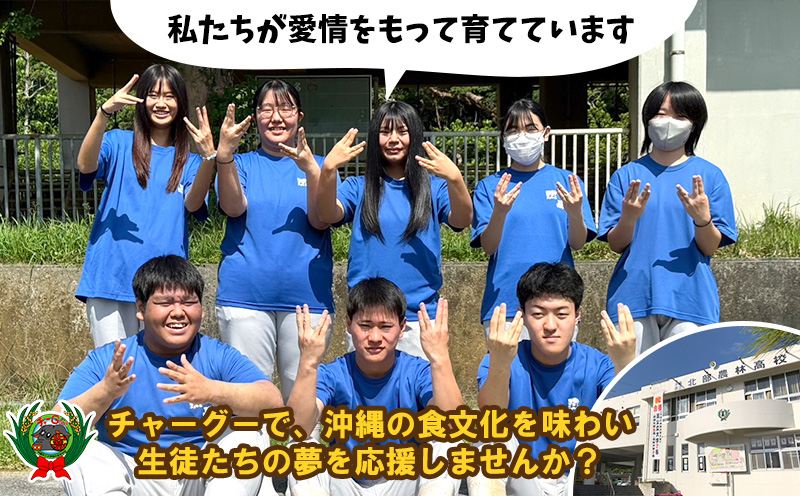 チャ―グー こま肉1kg（250g×4P） 沖縄 チャーグー アグー ブランド豚 旨み ジューシー ヘルシー 沖縄料理 しゃぶしゃぶ 細切れ 豚こま 豚こま切れ 豚しゃぶ 豚肉 人気 高校生 小分け 国産 切り落とし 冷凍